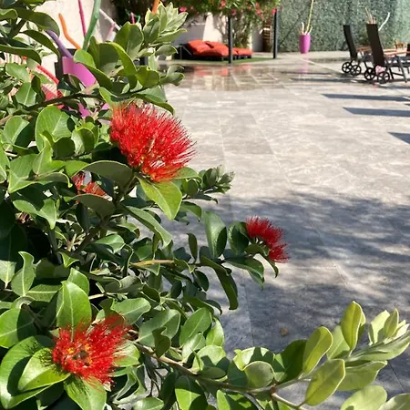 Logis Hotel Restaurant Les Aubuns Caissargues