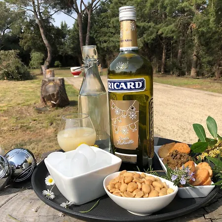 Logis Restaurant Les Aubuns 3* Caissargues